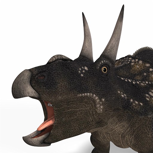 Diceratops DAZ 07A_0001.jpg - Dinosaur Diceratops With Clipping Path over white